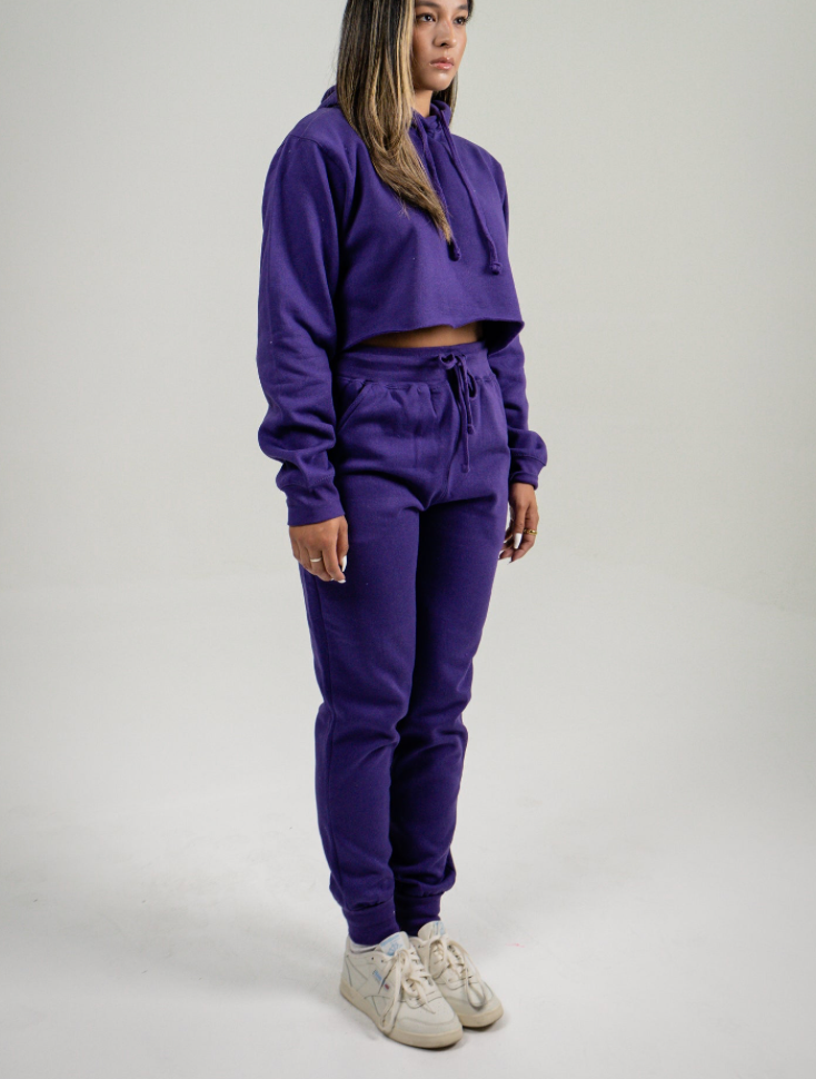 Purple Crop Top SweatSuit